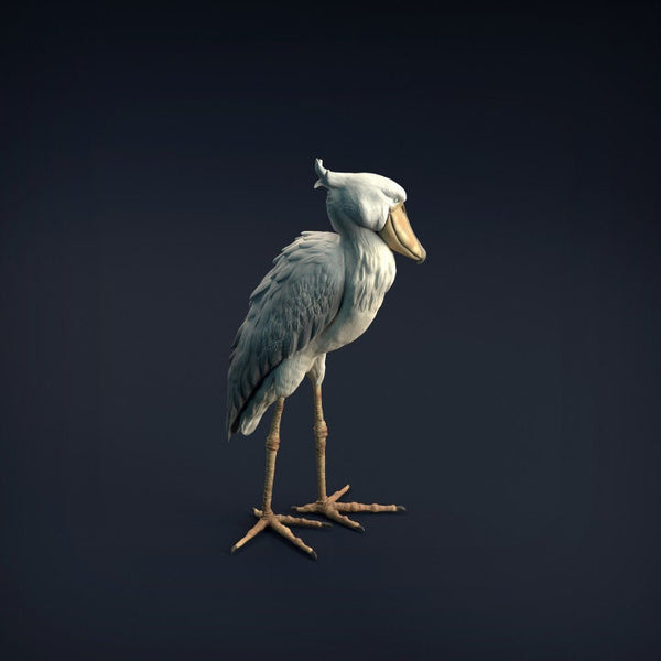 Shoebill - Animal Den Miniatures
