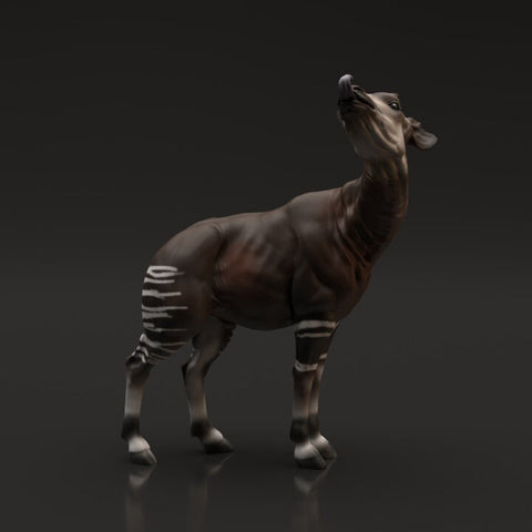 Okapi - Animal Den Miniatures