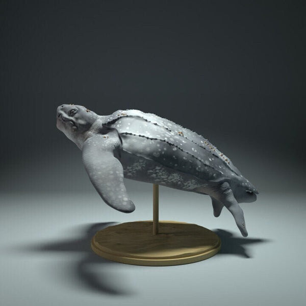 Leatherback Sea Turtle - Animal Den Miniatures