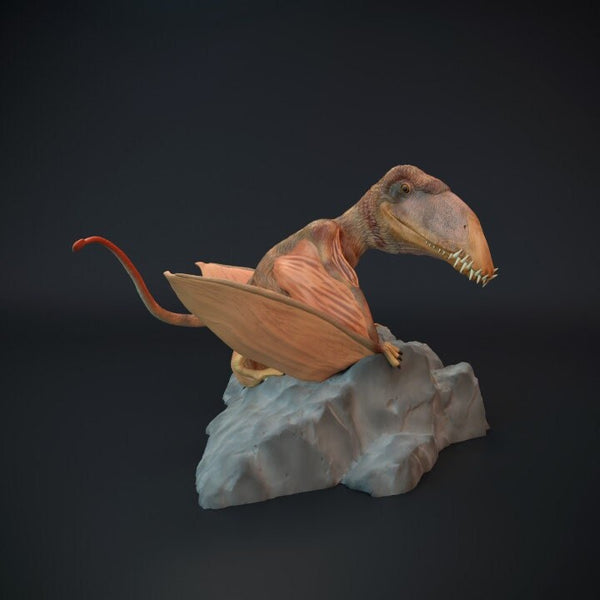 Dimorphodon - Dino and Dog Miniatures