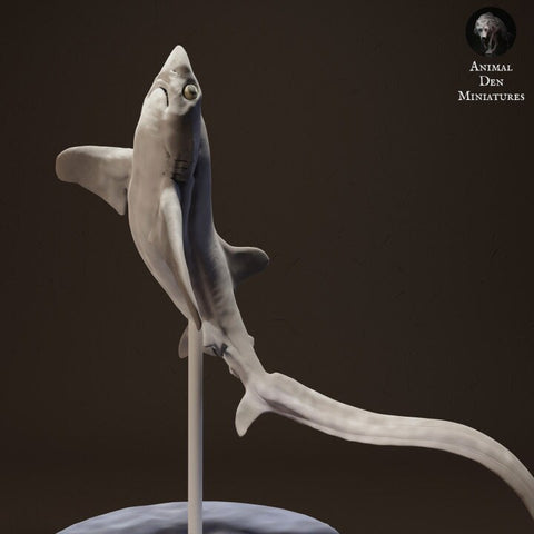 Big Eye Thresher Shark - Animal Den Miniatures