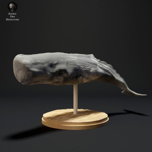 Sperm Whale - UNPAINTED - Animal Den Miniatures