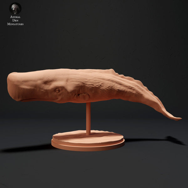 Sperm Whale - UNPAINTED - Animal Den Miniatures