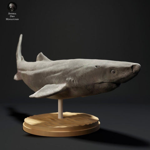 Greenland Shark - UNPAINTED - Animal Den Miniatures