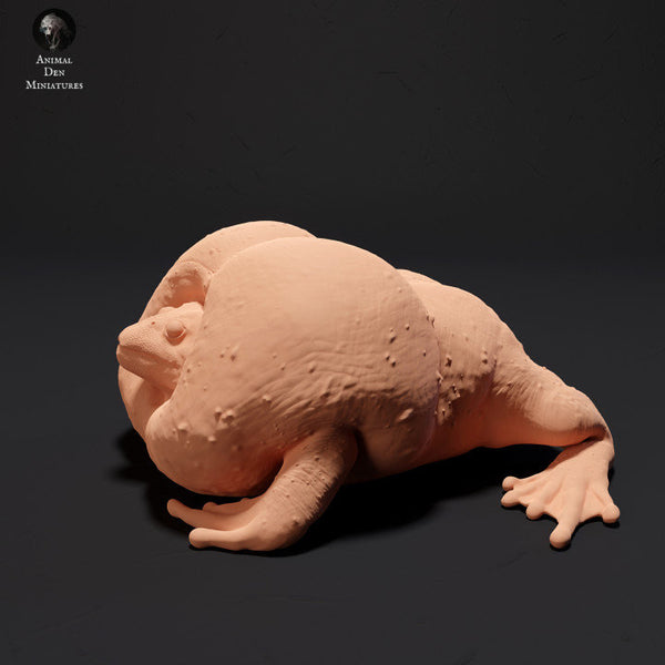 Mexican Burrowing Toad Croak - UNPAINTED - Animal Den Miniatures