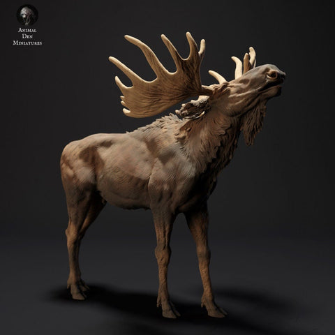 Moose Calling - UNPAINTED - Animal Den Miniatures